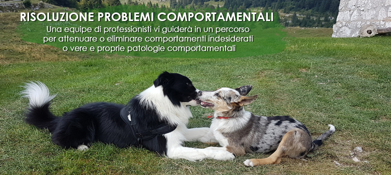 doggy world educatore cinofilo bologna